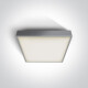 PIRNARI AN laelamp 24 W 3000 K IP65 antratsiit #1