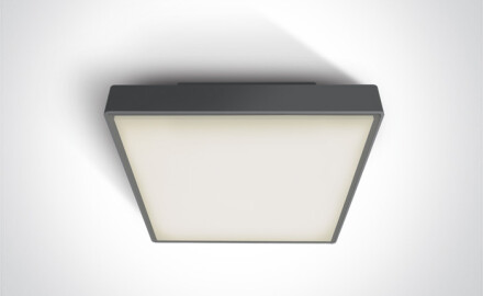 PIRNARI AN laelamp 24 W 3000 K IP65 hall