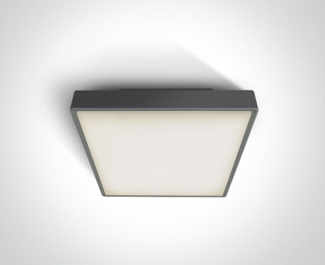 PIRNARI AN laelamp 24 W 3000 K IP65 hall