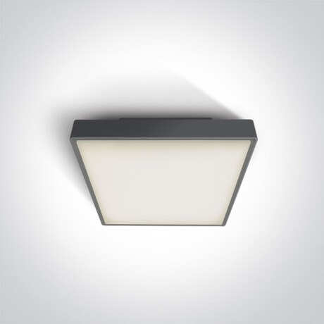 PIRNARI AN laelamp 24 W 3000 K IP65 hall #1