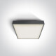 PIRNARI AN laelamp 24 W 3000 K IP65 hall #1