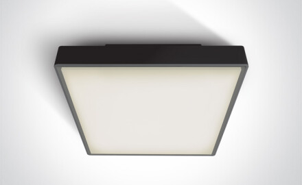 PIRNARI EA laelamp 2x12 W E27 IP65 antratsiit