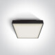 PIRNARI E laelamp 12 W E27 IP65 antratsiit #1