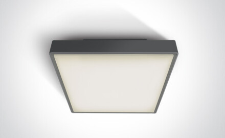 PIRNARI EA laelamp 2x12W E27 IP65 valge