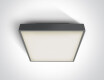 PIRNARI E laelamp 12 W E27 IP65 valge