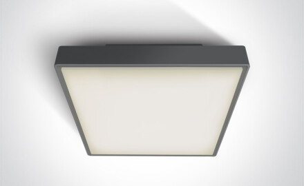 PIRNARI E laelamp 12 W E27 IP65 valge