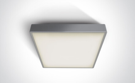 PIRNARI N laelamp 16 W 3000 K IP65 antratsiit
