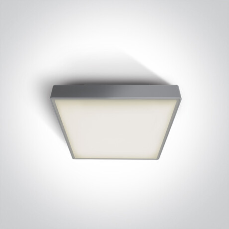 PIRNARI N laelamp 16 W 3000 K IP65 antratsiit #1