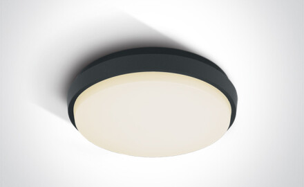 PIRNARI N laelamp 16 W 3000 K IP65 valge