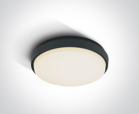 PIRNARI N laelamp 16 W 3000 K IP65 valge