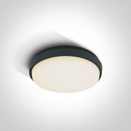 PIRNARI N laelamp 16 W 3000 K IP65 valge #1