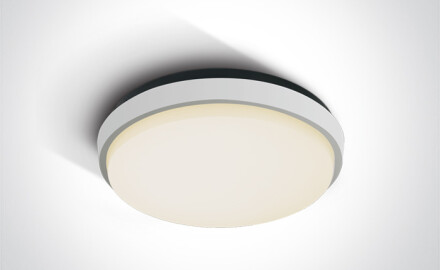 FASIDERI laelamp 20 W 3000 K IP54 antratsiit