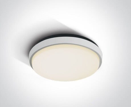 FASIDERI laelamp 20 W 3000 K IP54 antratsiit