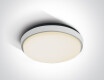 FASIDERI 2 laelamp 30 W 3000 K IP54 antratsiit