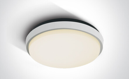FASIDERI 2 laelamp 30 W 3000 K IP54 antratsiit