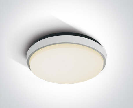 FASIDERI 2 laelamp 30 W 3000 K IP54 antratsiit