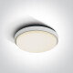 FASIDERI 2 laelamp 30 W 3000 K IP54 antratsiit #1