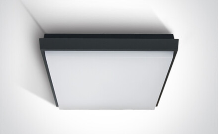 FASIDERI 2 laelamp 30 W 3000 K IP54 valge