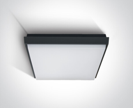 FASIDERI 2 laelamp 30 W 3000 K IP54 valge
