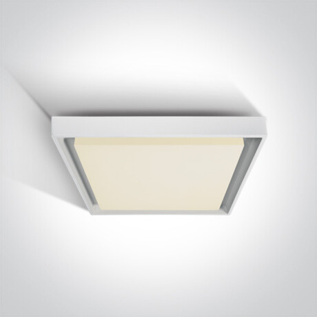 PASIO laelamp 30 W, 3000 K, IP54, antratsiit #1