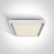 PASIO laelamp 30 W, 3000 K, IP54, antratsiit #1
