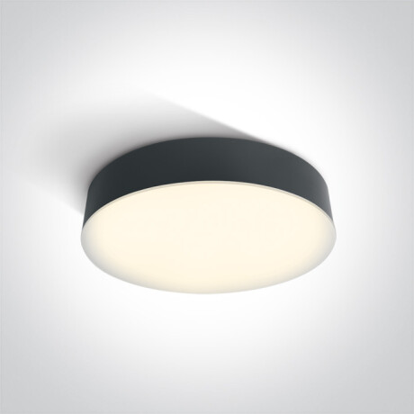 PASIO laelamp 30 W, 3000 K, IP54, valge #1