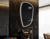 SMART ebaregulaarne vannitoapeegel LED I223 Google